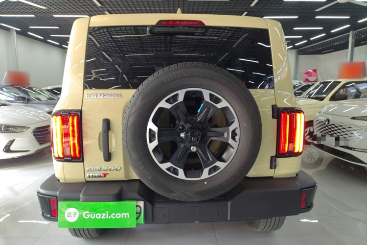 Tank 300 New Energy 2025 #6 Tank 300 New Energy 2025 car image #6