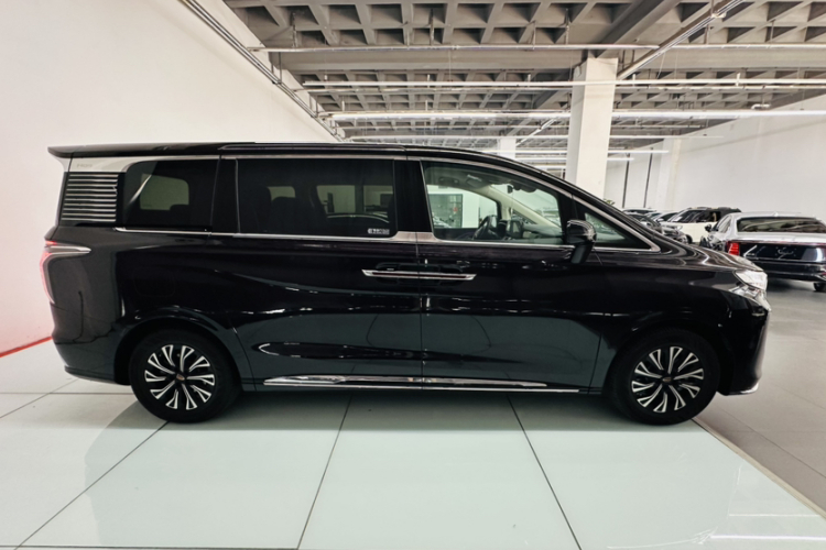 HongQi HQ9 PHEV 2024 car image #6
