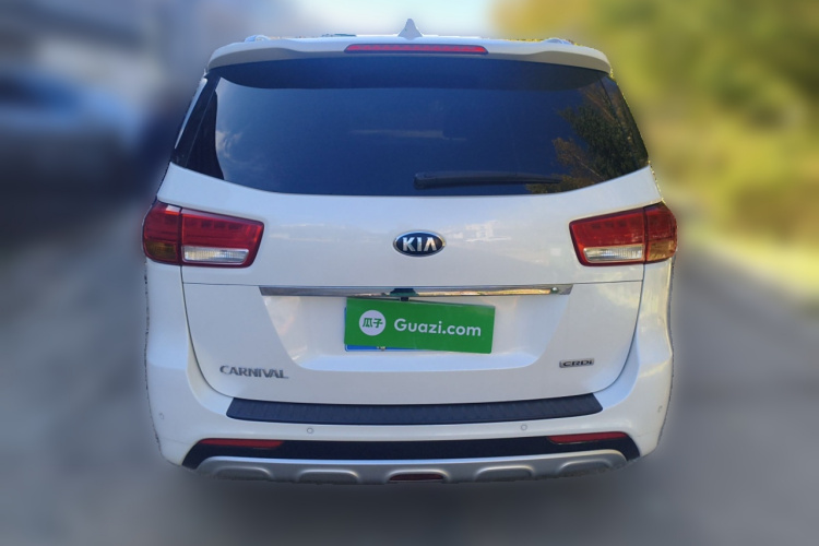 起亚 嘉华(进口) 2017 汽车图片 #6