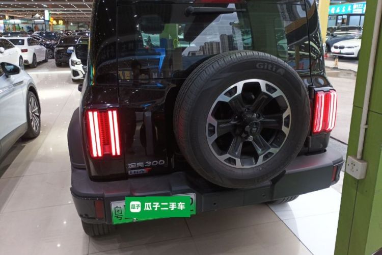 Tank 300 New Energy 2025 car image #6