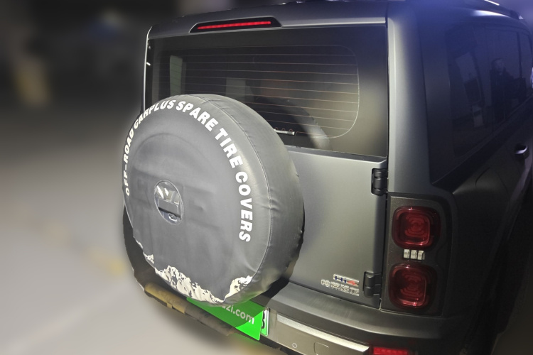 Haval Raptor 2024 car image #6