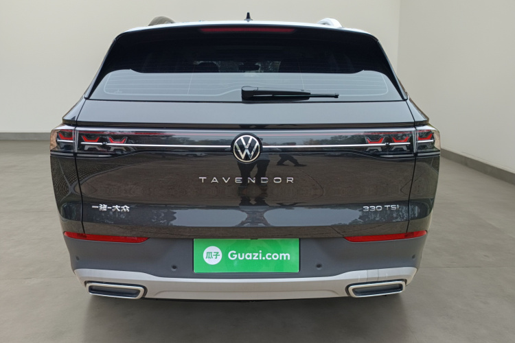 Volkswagen Tavendor 2024 car image #6