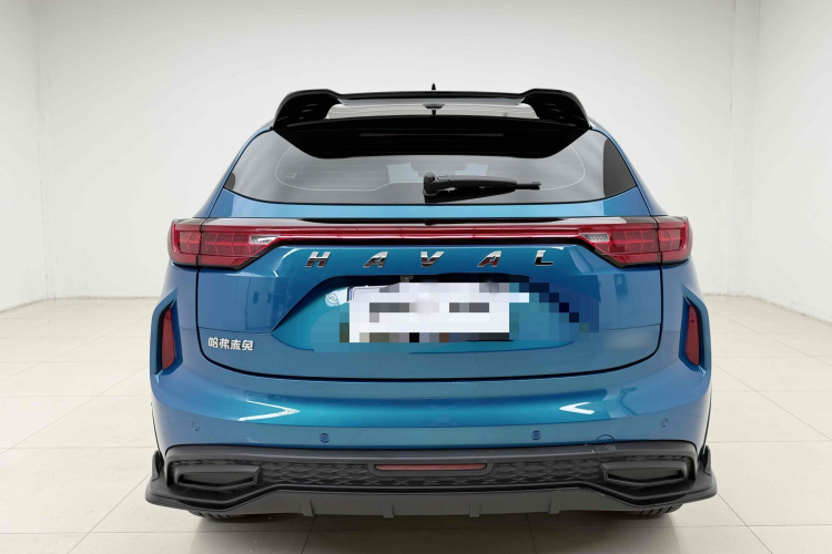Haval Rabbit 2021 car image #6