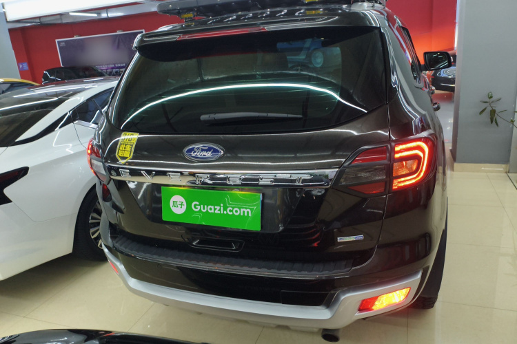 Ford Everest 2020 car image #6