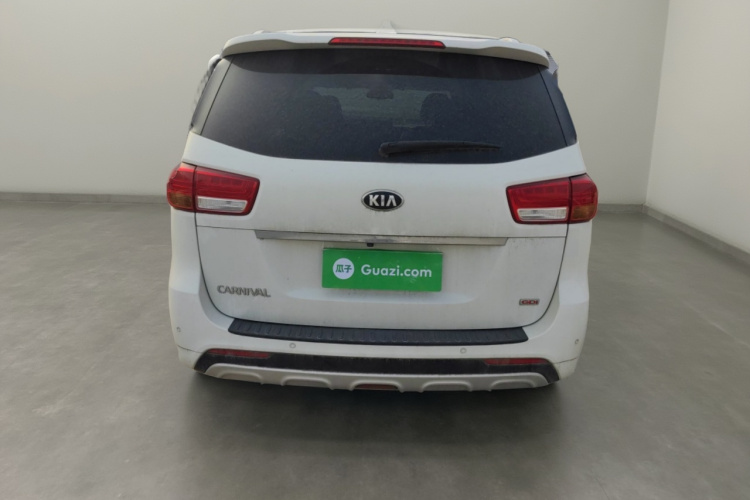 Kia Carnival (Imported) 2016 car image #6