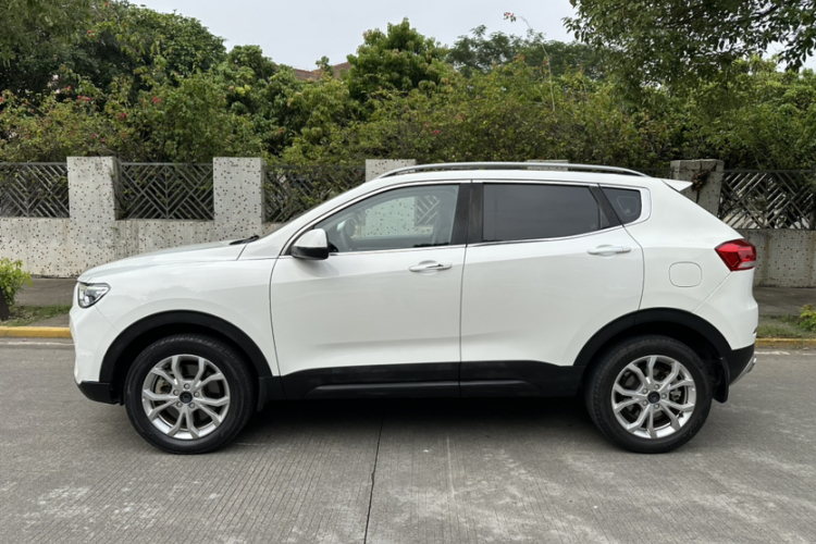 Haval H2s 2019 car image #6