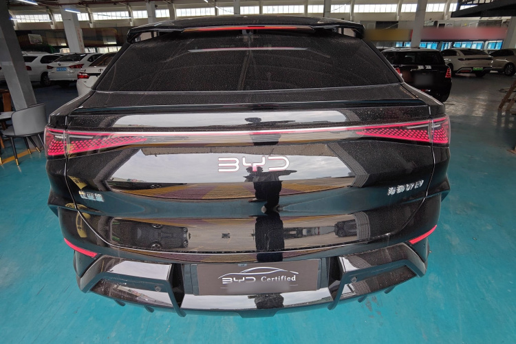 BYD Sea Lion 07 EV 2024 car image #6