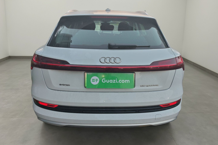 Audi e-tron (Imported) 2021 car image #6