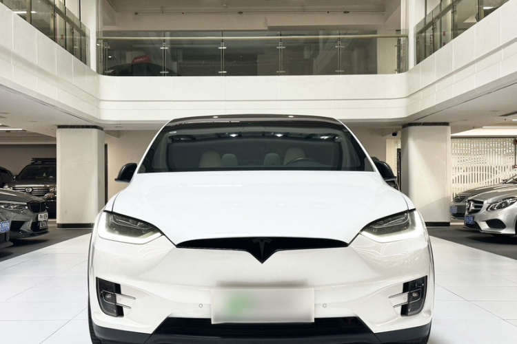 Tesla Model X 2019 car image #6