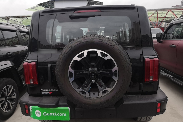 Tank 300 New Energy 2025 #6 Tank 300 New Energy 2025 immagine di auto #6