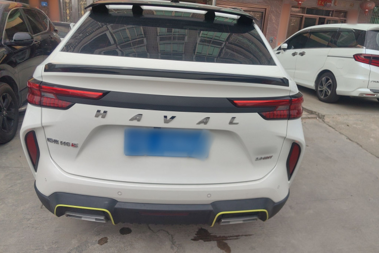 Haval H6S 2022 immagine di auto #6