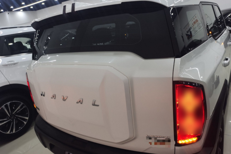 Haval Dargo 2023 car image #6