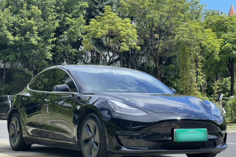特斯拉 Model 3(进口) 2019 汽车图片 #6