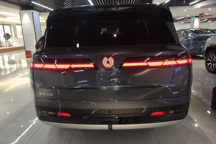 Denza N9 2025 car image #6