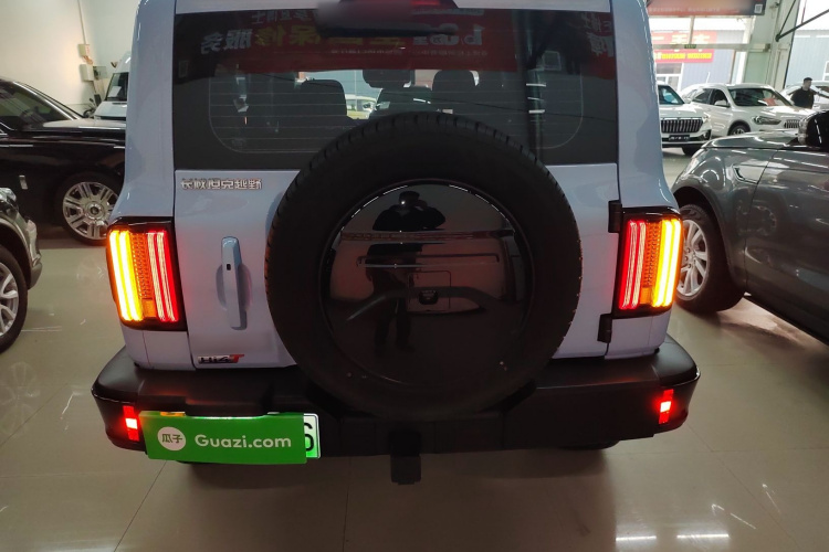 Tank 300 New Energy 2024 imagem de carro #6