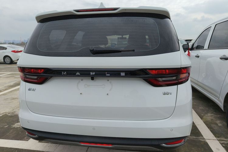 睿蓝汽车 枫叶80v 2021 汽车图片 #6