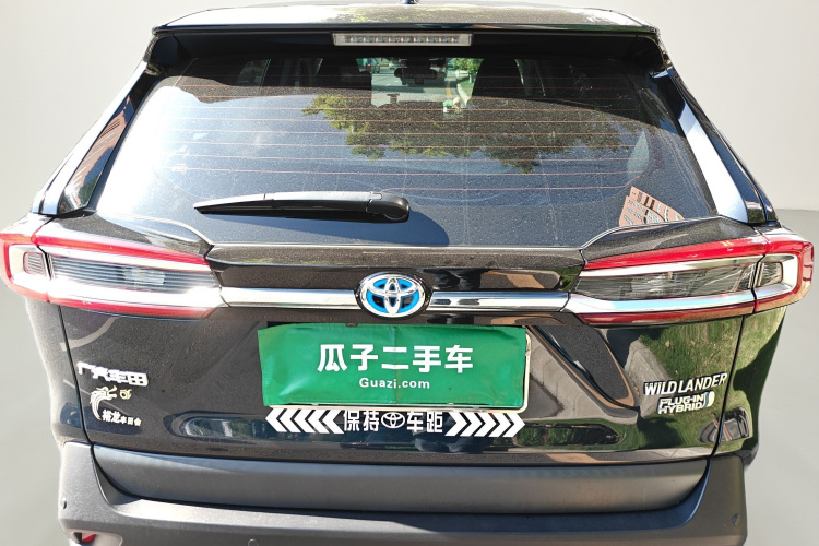 Toyota Wildlander New Energy 2021 car image #6