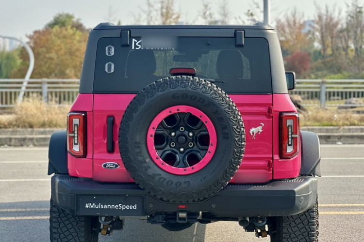 福特 福特烈马 2024 #6 福特 福特烈马 2024 汽车图片 #6