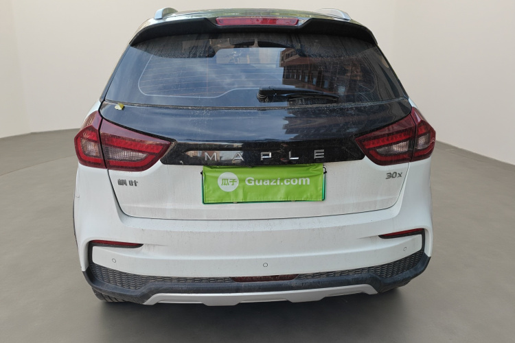 睿蓝汽车 枫叶30X 2021 汽车图片 #6