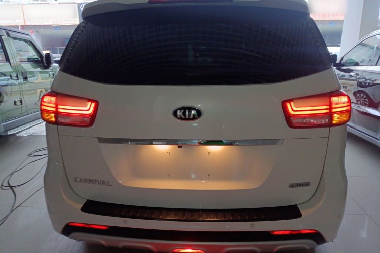 Kia Carnival (Imported) 2018 car image #6