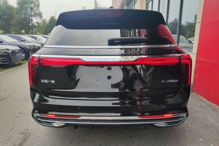 HongQi E-HS9 2022 #6 HongQi E-HS9 2022 car image #6