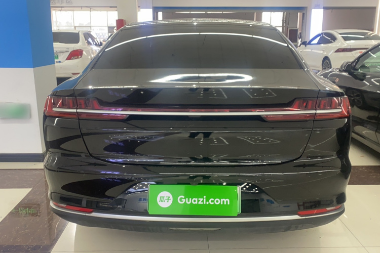 BYD e9 2021 car image #6