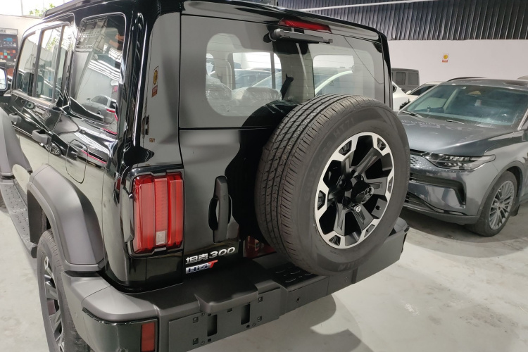 Tank 300 New Energy 2025 #6 Tank 300 New Energy 2025 car image #6