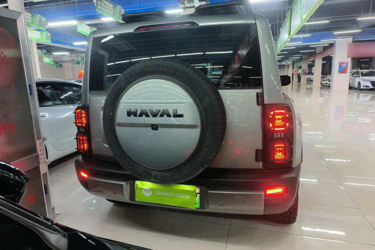 Haval Raptor 2024 immagine di auto #6