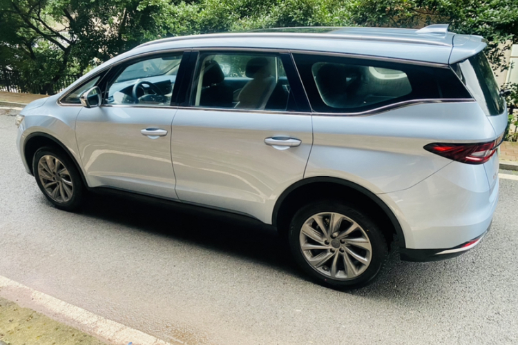 Livan Maple 80V PRO 2023 imagen de coche #6