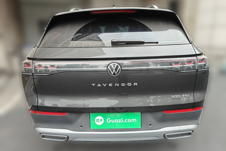 Volkswagen Tavendor 2023 car image #6