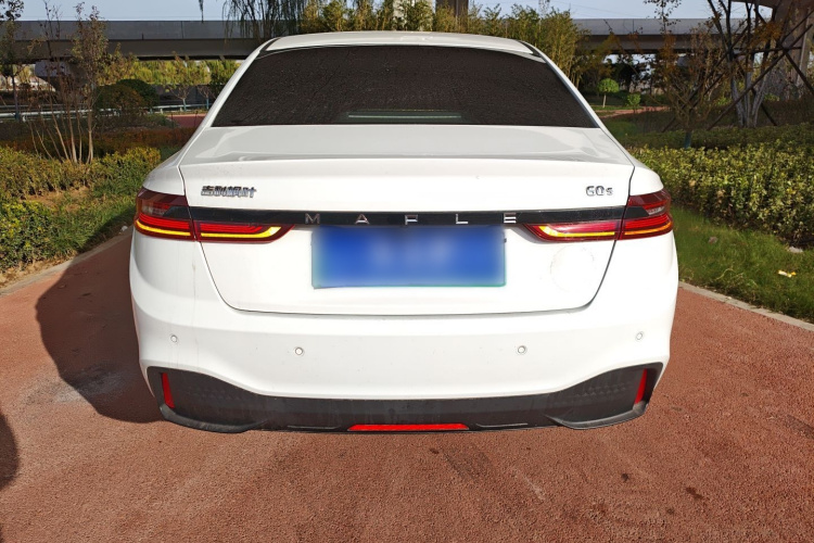 Livan Maple 60S 2023 imagen de coche #6