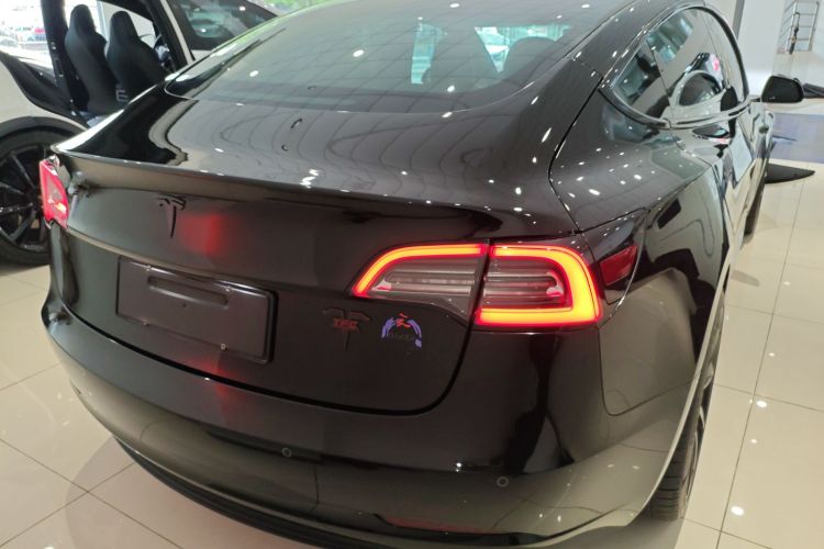 特斯拉 Model 3(进口) 2019 汽车图片 #6