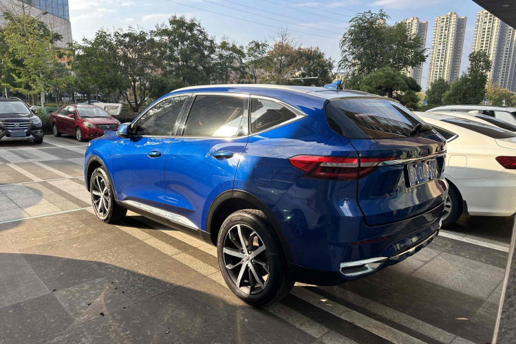 Haval F7 2020 car image #6