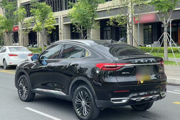 Haval F7x 2020 car image #6