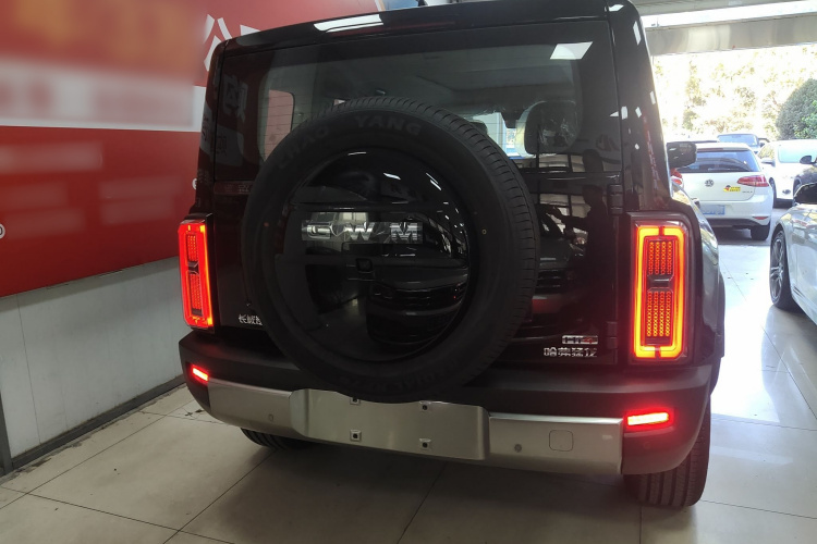 Haval Raptor New Energy 2025 #6 Haval Raptor New Energy 2025 car image #6