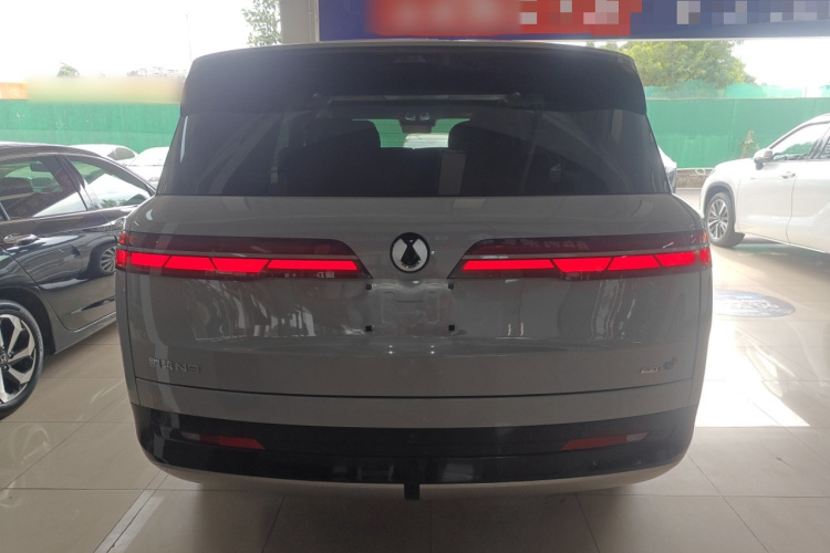 Denza N9 2025 car image #6