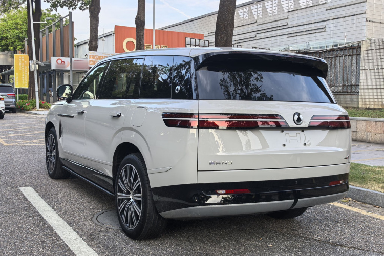 Denza N9 car image #6