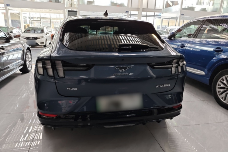 Ford Mustang Mach-E 2022 car image #6