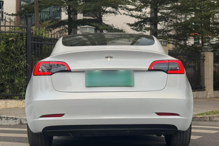 特斯拉 Model 3(进口) 2019 汽车图片 #6