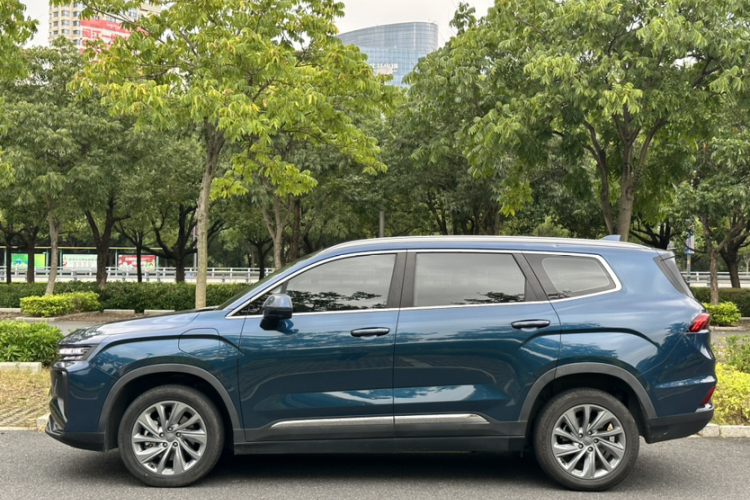 睿蓝汽车 睿蓝9 2023 汽车图片 #6