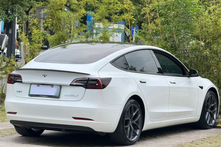 Tesla Model 3 2022 #6 Tesla Model 3 2022 car image #6