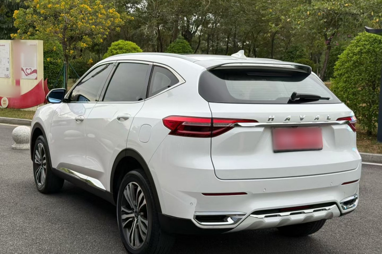 Haval F7 2019 image de voiture #6