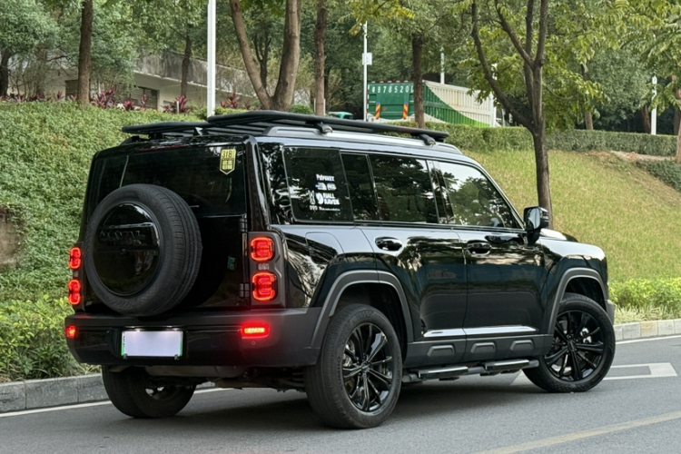 Haval Raptor New Energy 2024 car image #6