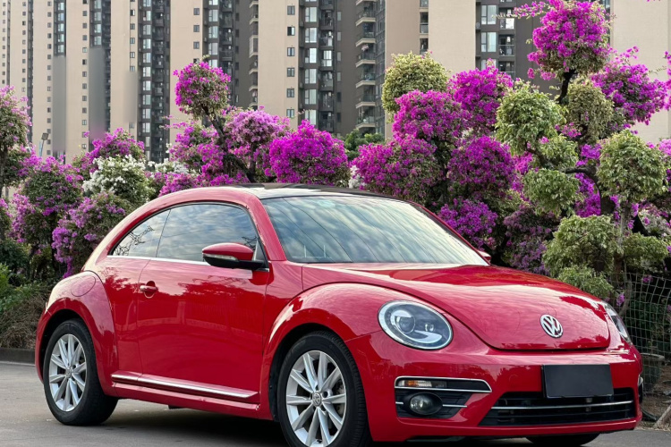 Volkswagen Beetle 2018 car image #6