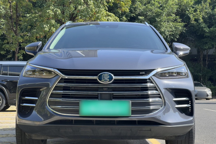 BYD Tang New Energy 2019 car image #6