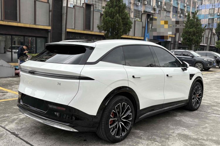 Zeekr 7X 2024 car image #6