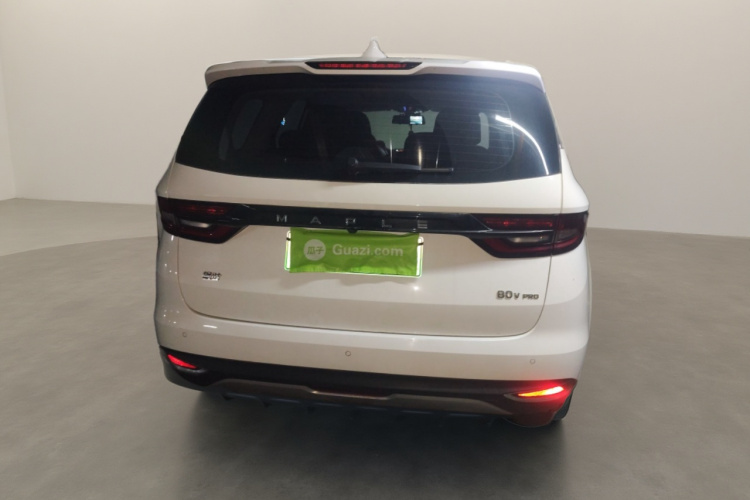 睿蓝汽车 枫叶80v PRO 2023 汽车图片 #6