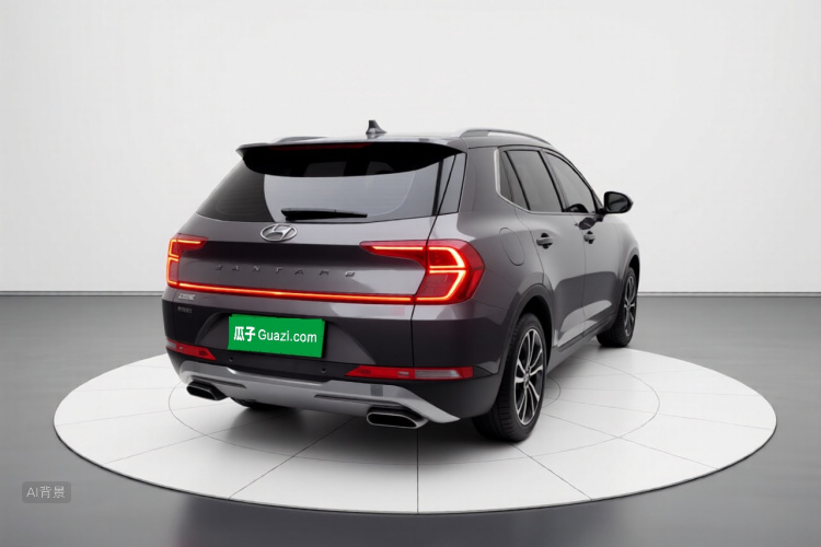 Hyundai Santa Fe 2019 car image #6