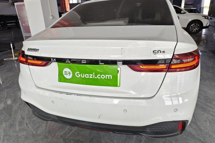 睿蓝汽车 枫叶60s 2022 汽车图片 #6