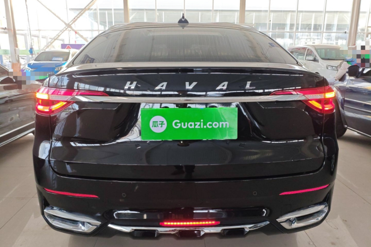 Haval F7x 2021 car image #6